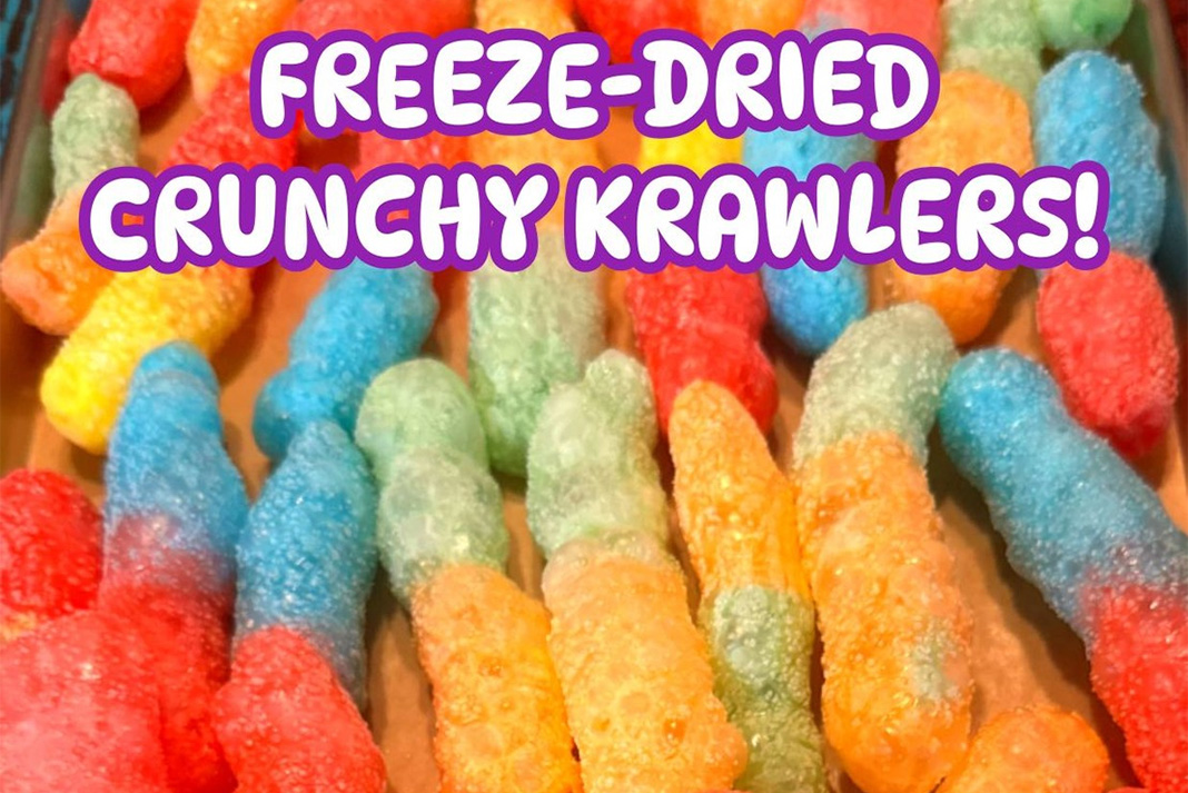 Freeze-Dried Crunchy Crawlers