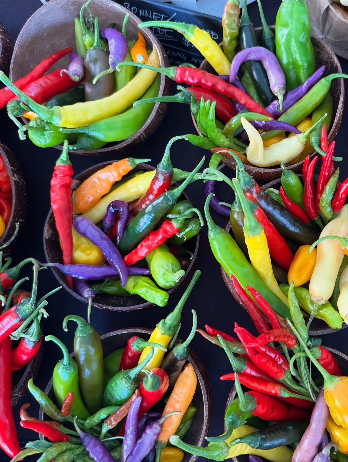 Panorama of Saturday vibrancy at The Shed – Dallas Farmers Market in full swing